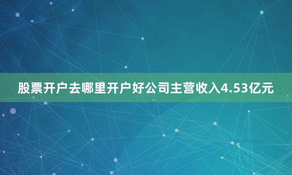 股票开户去哪里开户好公司主营收入4.53亿元