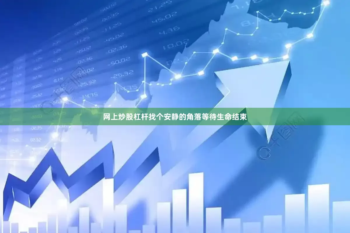 网上炒股杠杆找个安静的角落等待生命结束