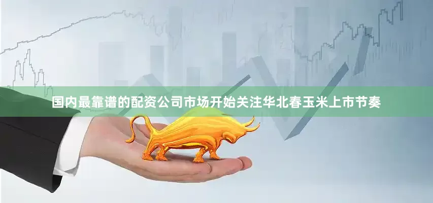 国内最靠谱的配资公司市场开始关注华北春玉米上市节奏